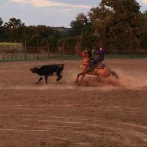 Meet your Posher, Matthew